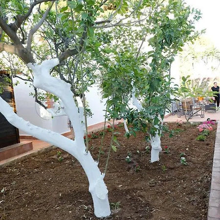 Casa vacanze Airport Sicily Palermo